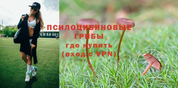 прущая мука Алексеевка