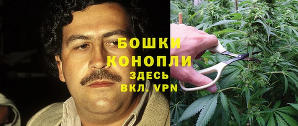 МДПВ Алзамай