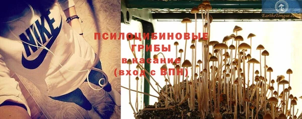 стаф Покров