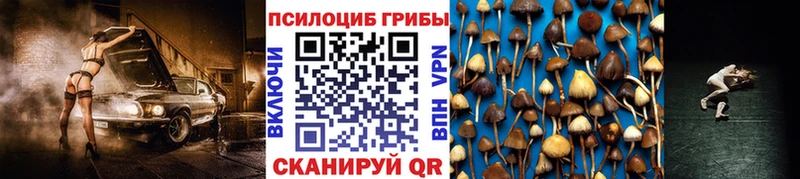где можно купить наркотик  Белоярский  сайты даркнета телеграм  Псилоцибиновые грибы Magic Shrooms 