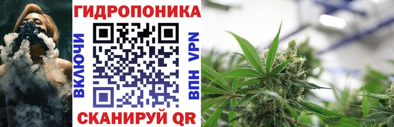 Шишки марихуана план закладка блэк спрут маркетплейс Белоярский